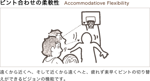 ピント合わせの柔軟性