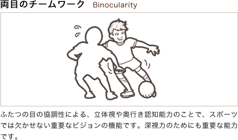両目のチームワーク